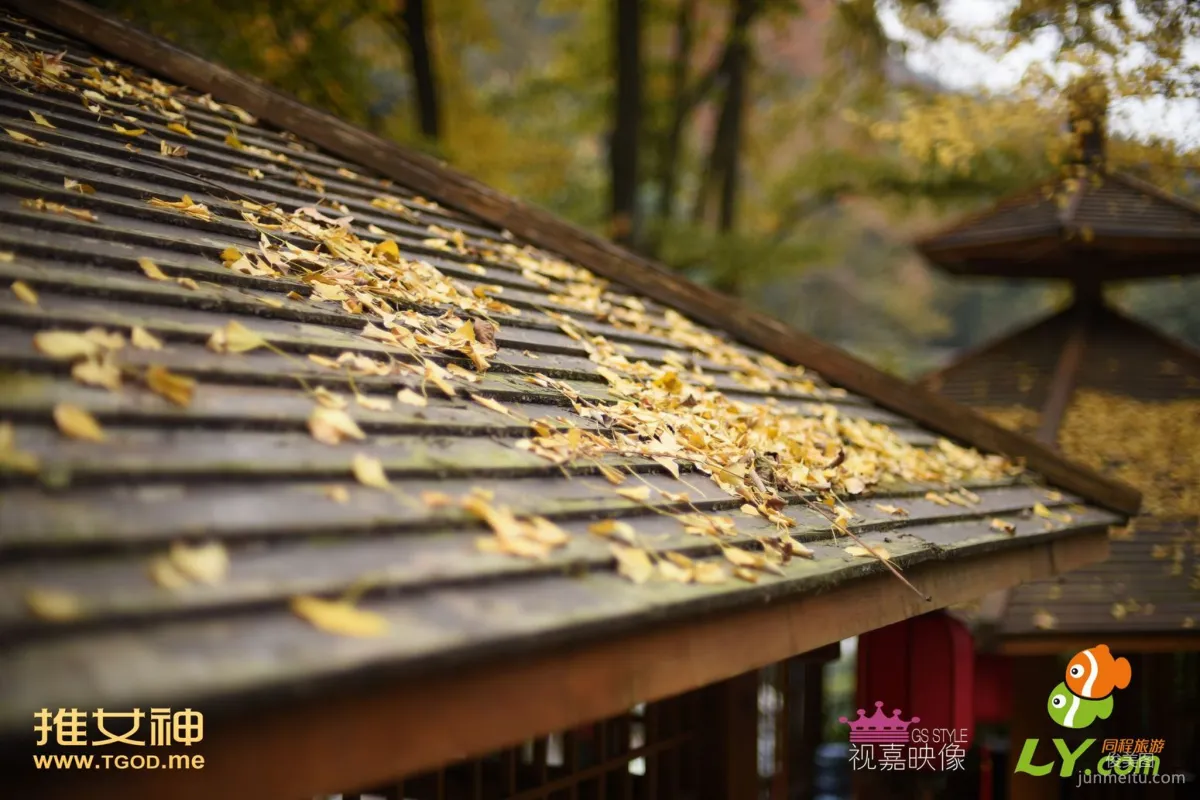 戴唯一《女神去哪儿第16期》 [TGOD推女神] 写真集34