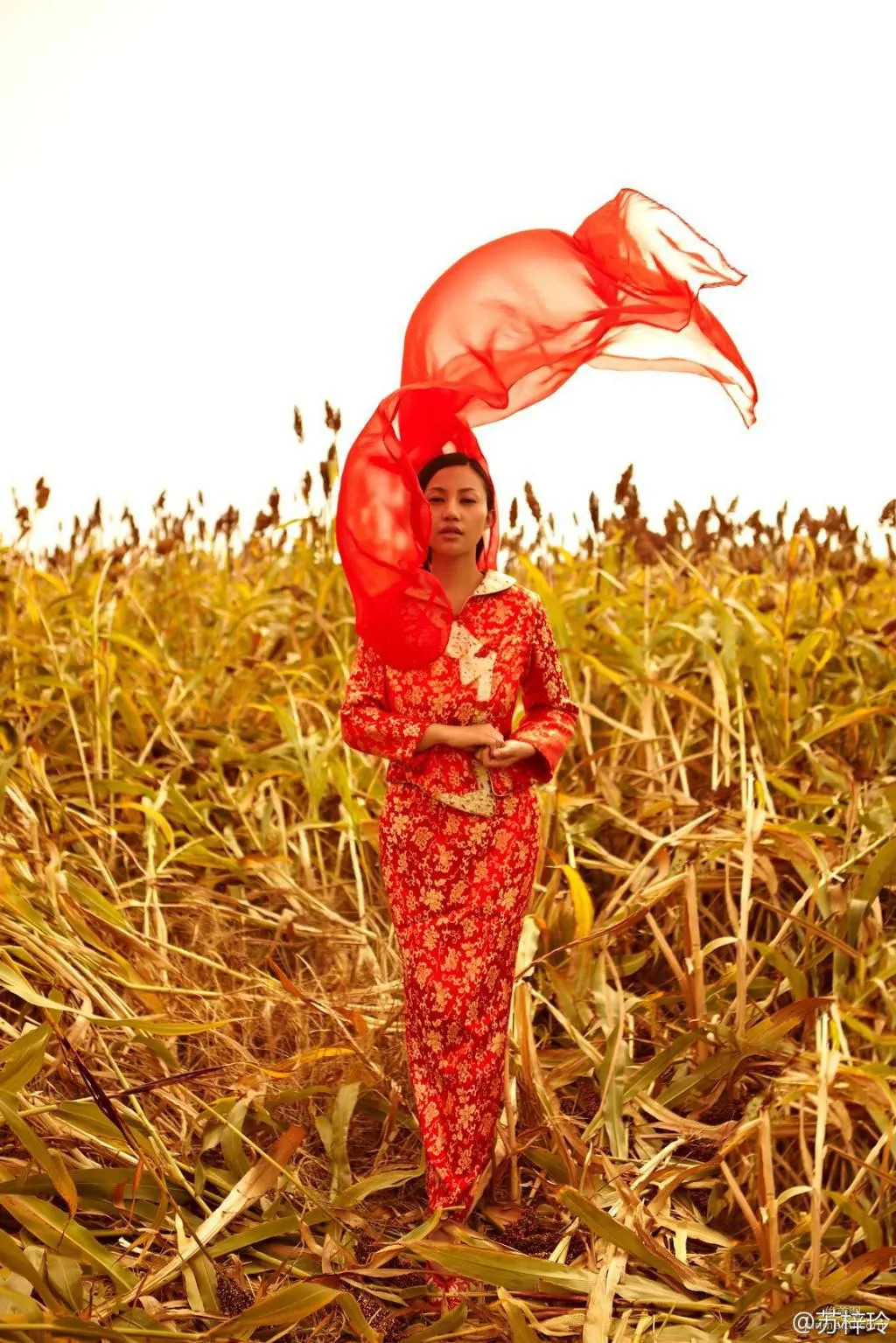 蘇梓玲《紅高粱》超高清完整版 寫真集 7