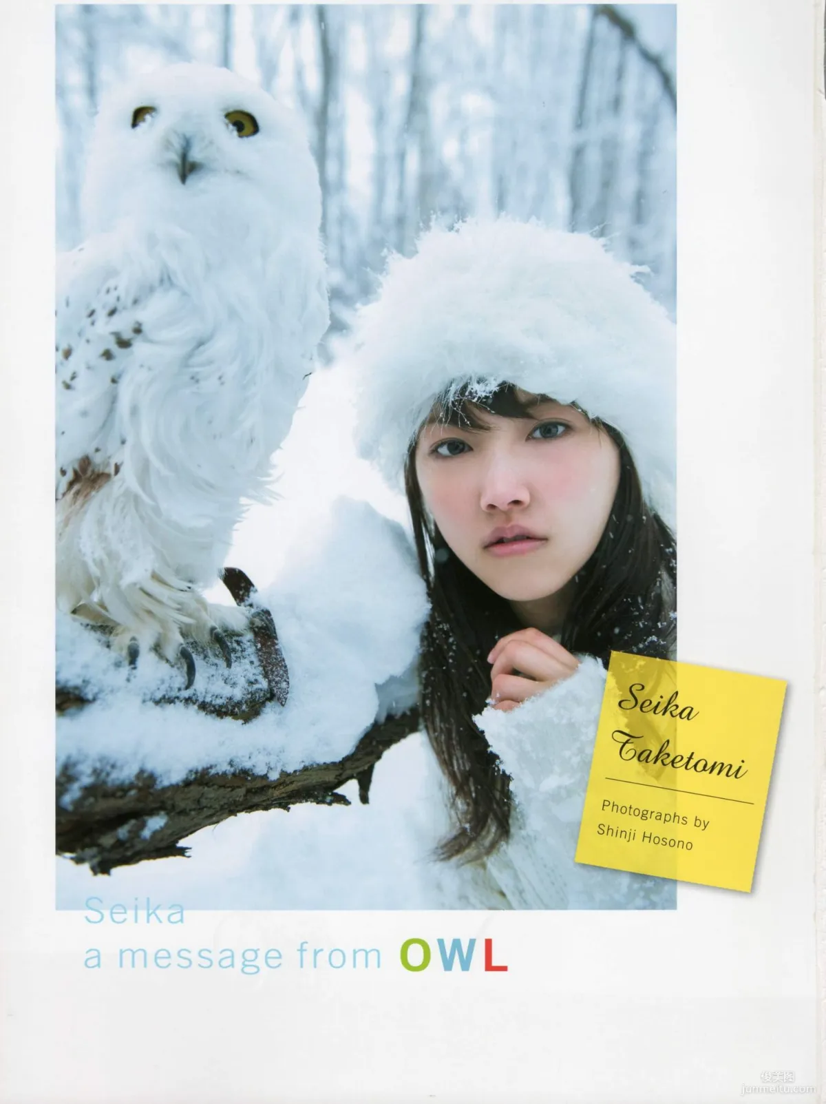 Seika Taketomi 竹富聖花 《A message from OWL》寫真集 2