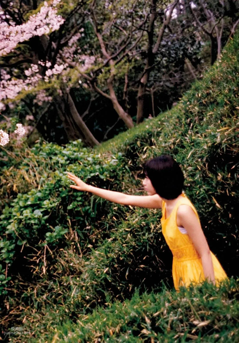 宮脇咲良/宮脅咲良《Sakura》 [PB寫真集] 64