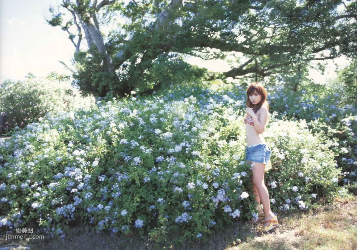 安倍なつみ 《Alo-Hello! アロハロ!》 [PB写真集] 45