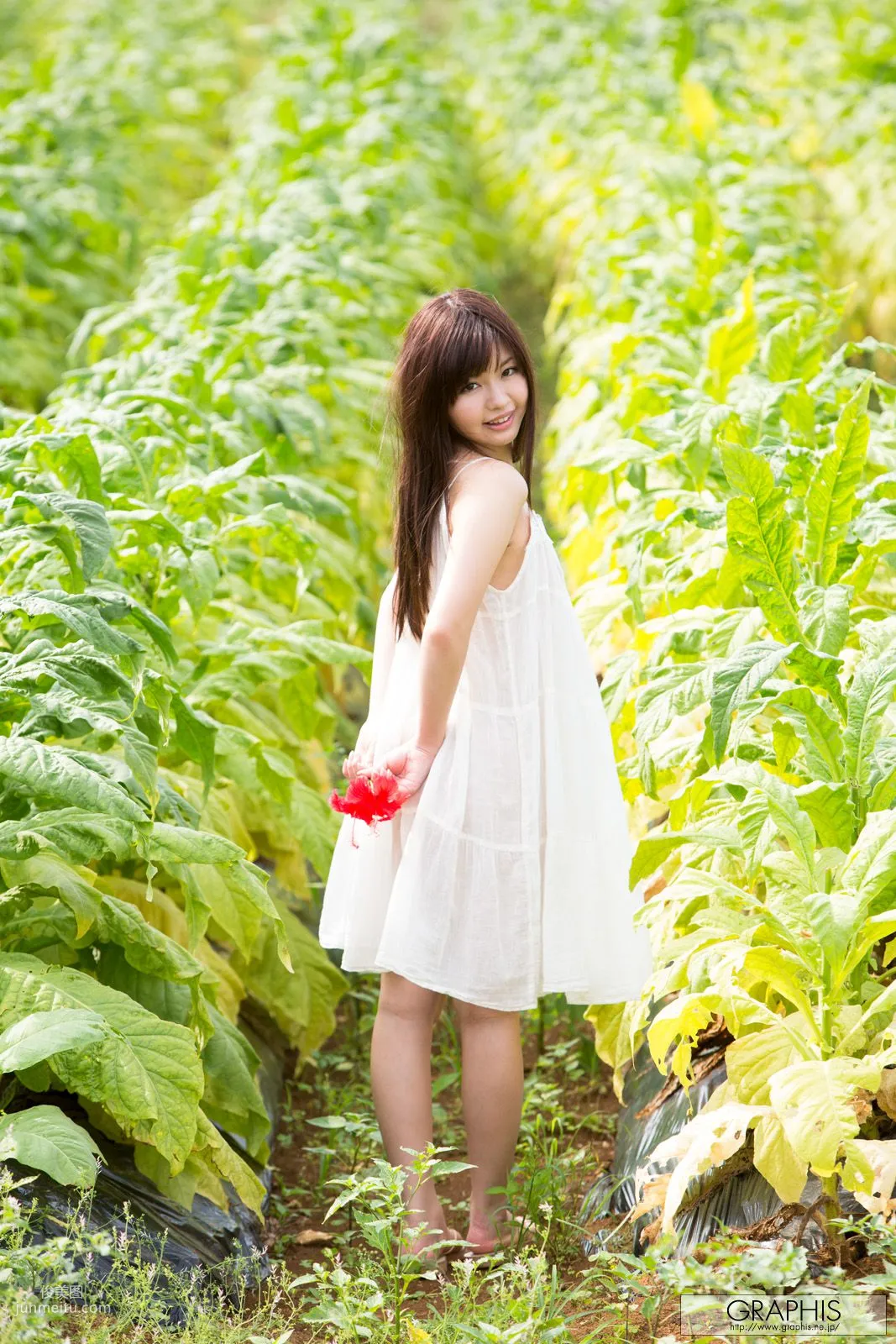 葉山めい/叶山芽衣 [Graphis] First Gravure 初脱ぎ娘 写真集3