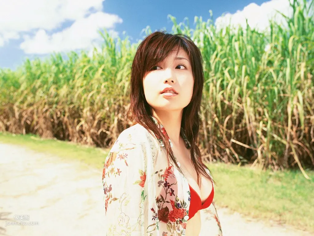 [Wanibooks] NO.08 Yoko Mitsuya 三津谷葉子/三津谷葉子 寫真集 145