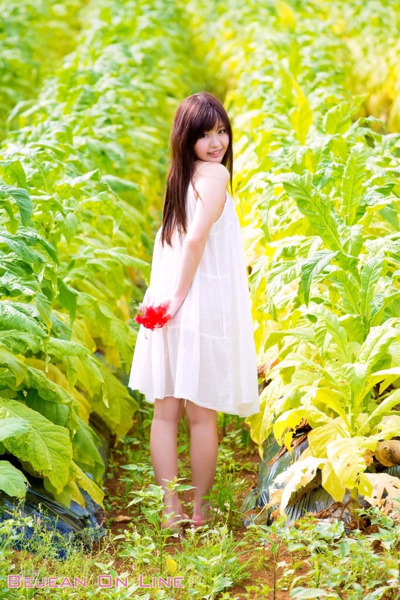 Special スペシャルグラビア 葉山めい/叶山芽衣 [Bejean On Line] 写真集10