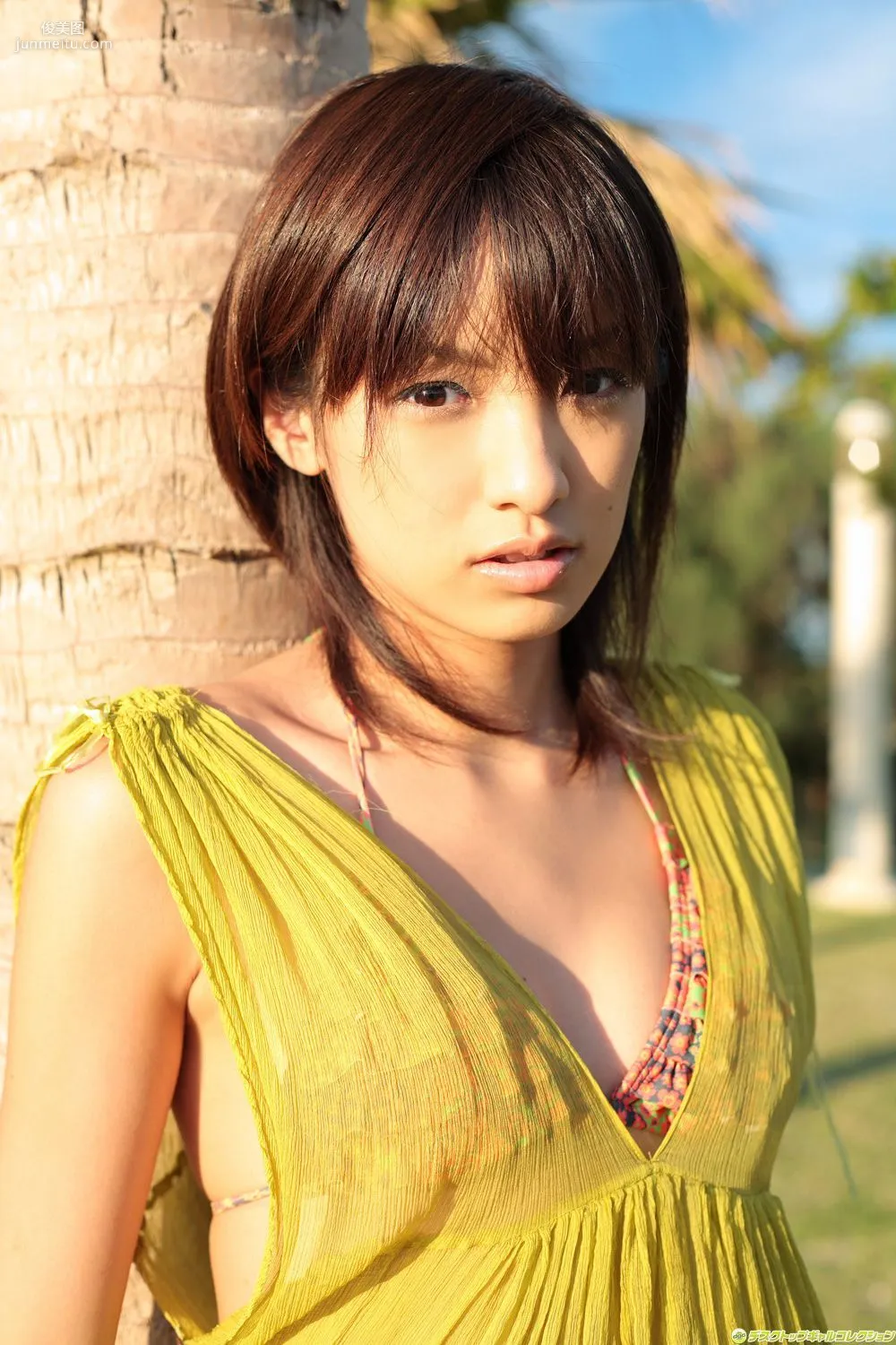 [DGC] NO.528 Akina Minami 南明奈 寫真集 2
