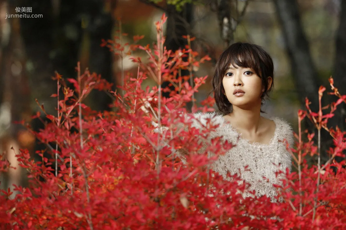 夏菜《The Gravure~最終章~》 [WPB-net] No.166 寫真集 57