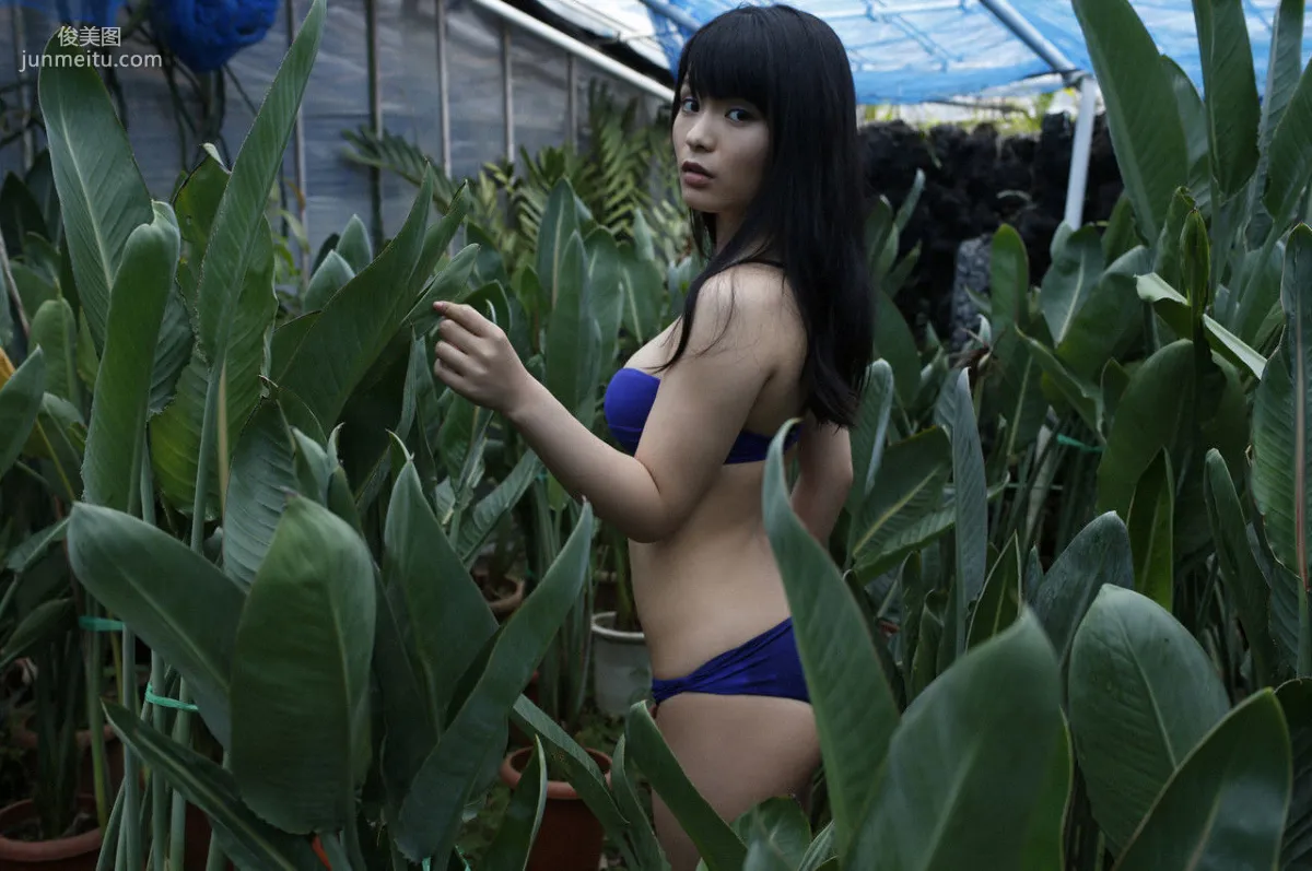 星名美津紀 Mizuki Hoshina [WPB-net] No.172 寫真集 135