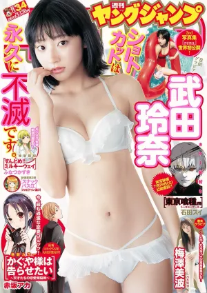 武田玲奈 梅澤美波 [Weekly Young Jump] 2017年No.34 寫真雜志