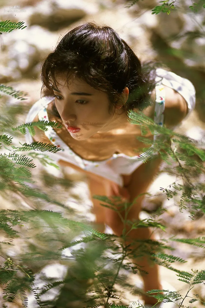 [NS Eyes] SF-No.141 Miyuki Sakai 酒井美雪 寫真集 26