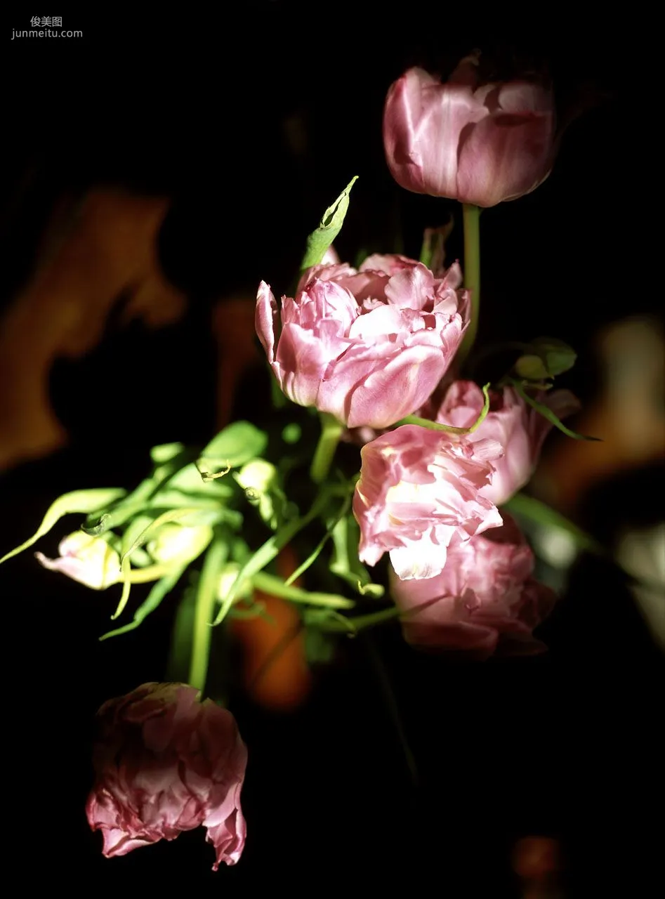 [NS Eyes] SF-No.138 Remi Kawashima 川島令美 写真集36