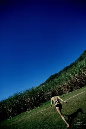 [NS Eyes] SF-No.226 Noriko Sagara 相楽のり子 寫真集