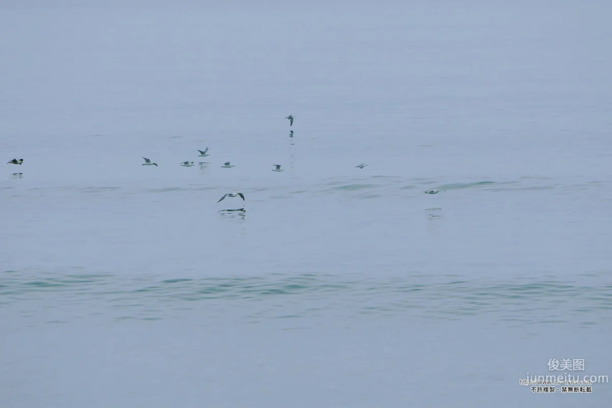 [NS Eyes] SF-No.461 小泉麻耶 Maya Koizumi 写真集1
