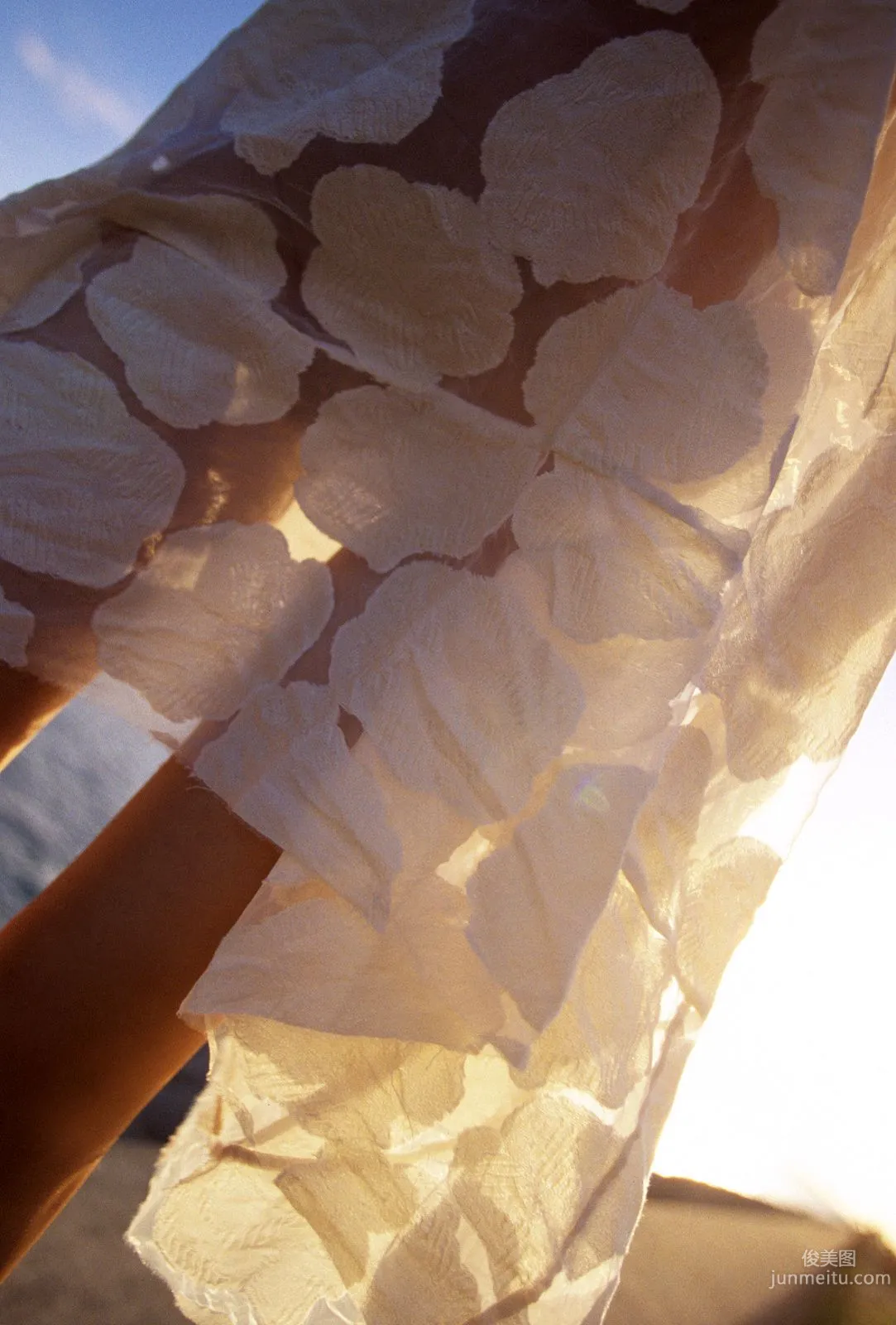 [NS Eyes] SF-No.391 山本梓 Azusa Yamamoto 写真集1