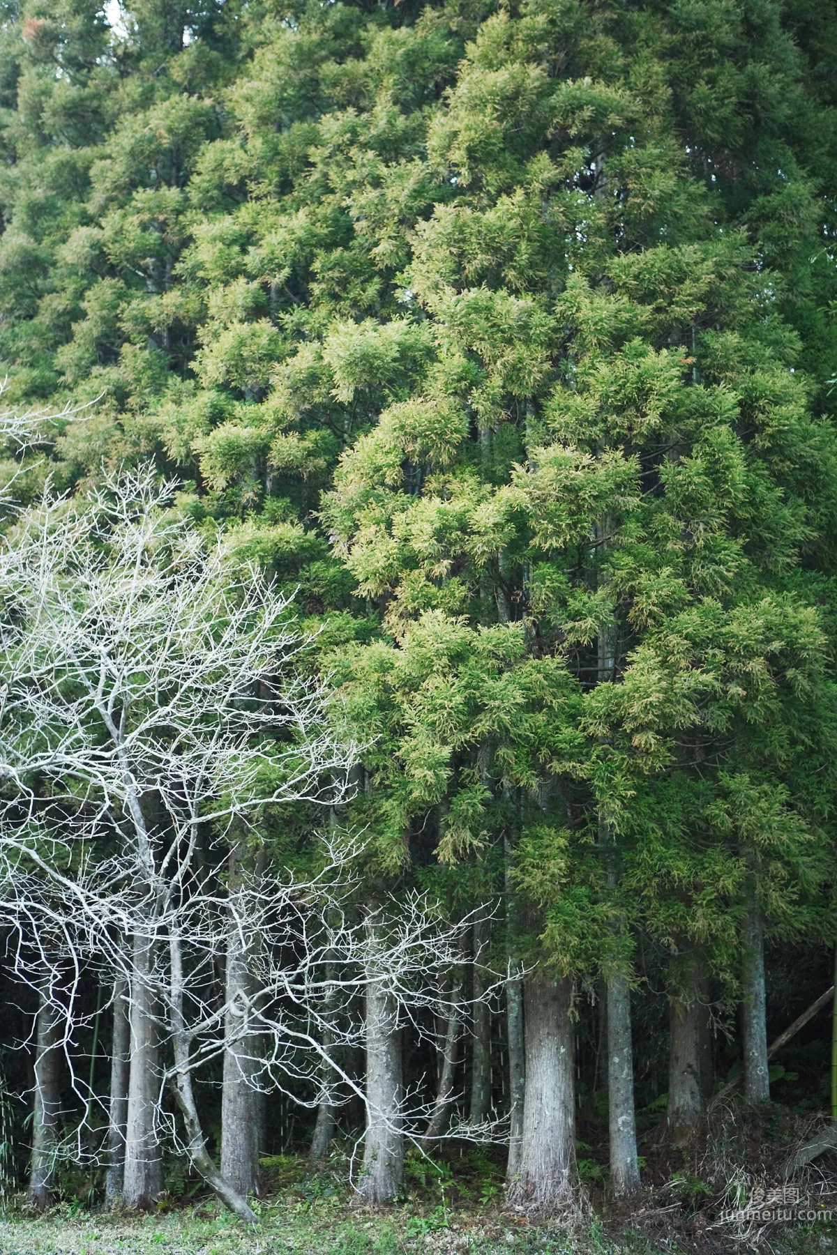 [NS Eyes] SF-No.429 Yui Hamana 浜名優衣 写真集18