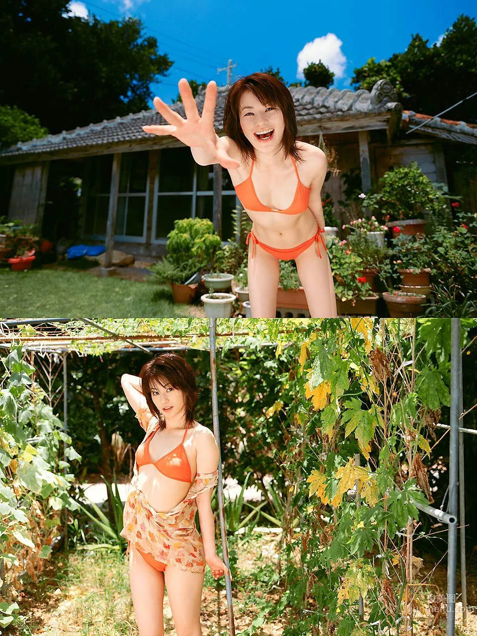 菅井玲 Rei Sugai 《ビタミン ガール!!!!》 [Image.tv] 写真集20