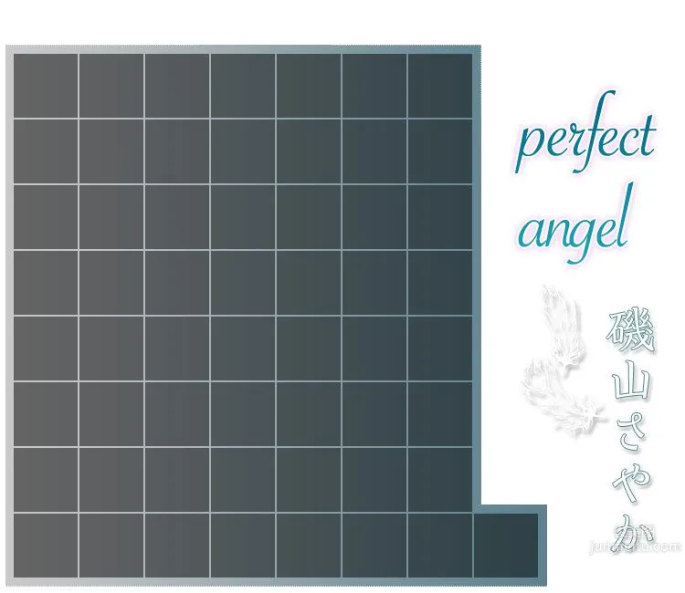 磯山さやか/矶山沙也加《Perfect Angel》 [Image.tv] 寫真集 11