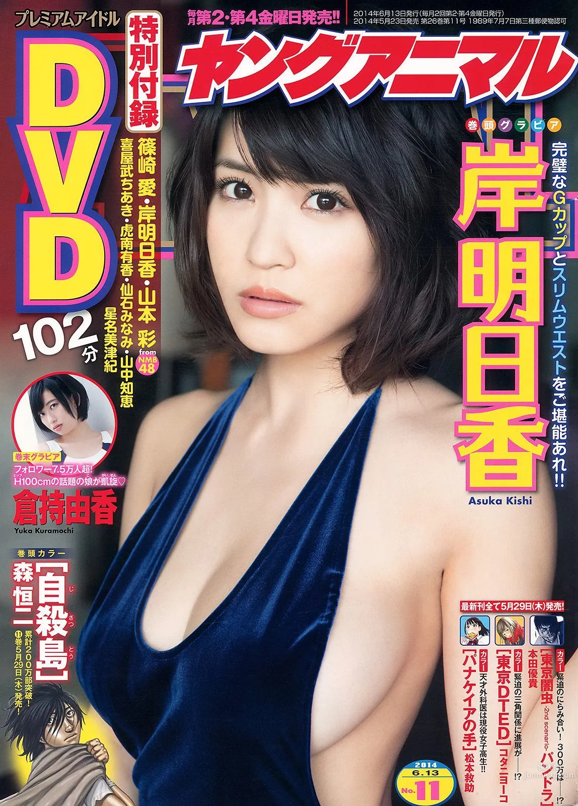 岸明日香 倉持由香 [Young Animal] 2014年No.11 寫真雜志 1