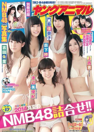 NMB48 吉田朱裡 上西恵 渡辺美優紀 矢倉楓子 山本彩 室加奈子 [Young Animal] 2014年No.17 寫真雜志