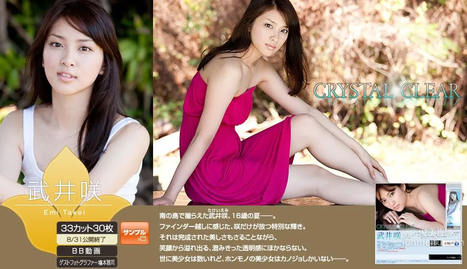 武井咲 Emi Takei 《Crystal Clear》 [Image.tv] 写真集1