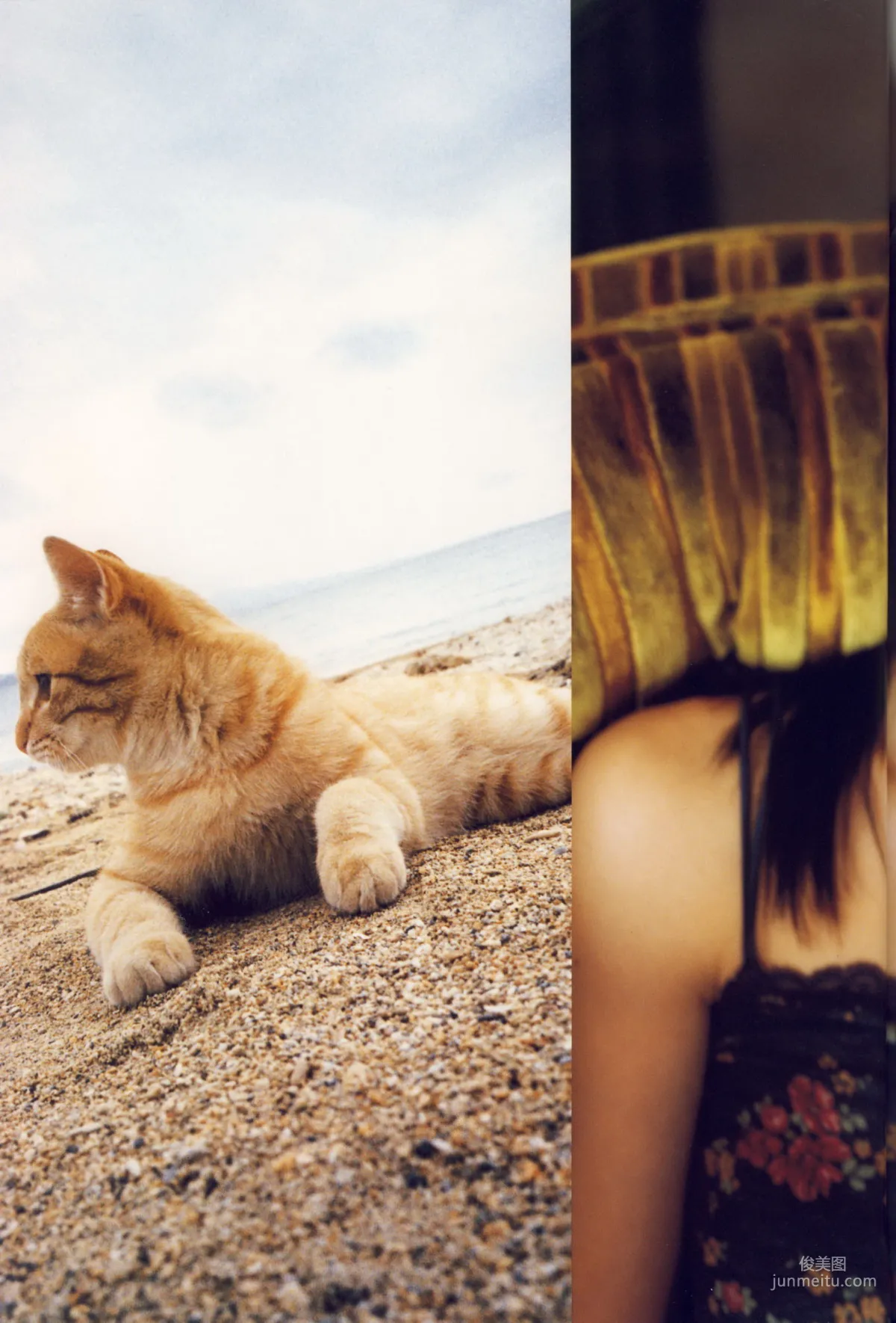 矢島舞美《舞美》 [PhotoBook] 写真集30