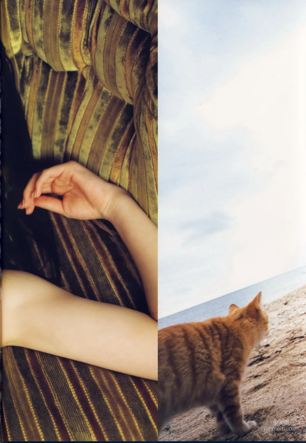 矢島舞美《舞美》 [PhotoBook] 写真集29