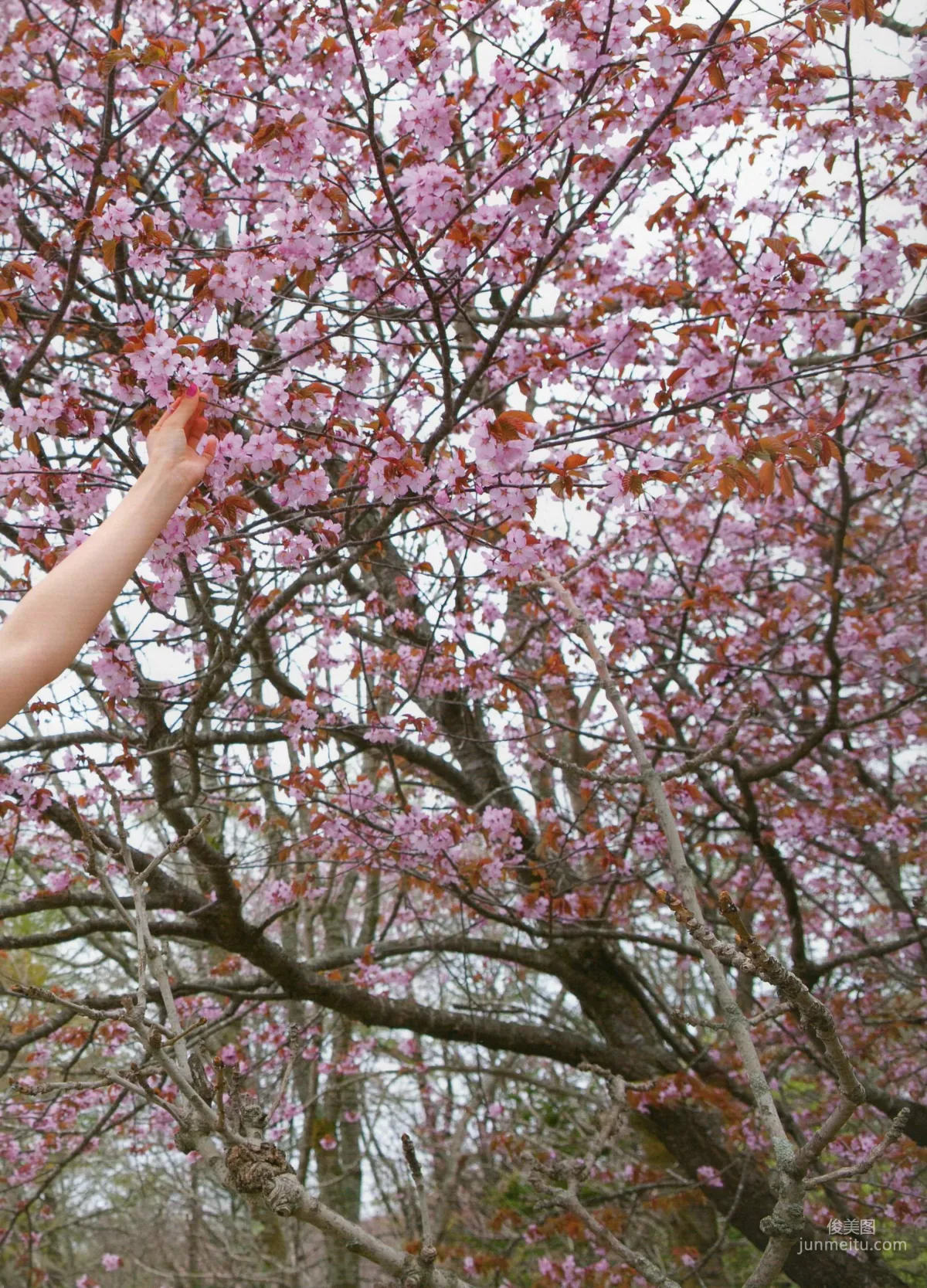 吉木りさ《Sekirara》 [PhotoBook] 写真集57