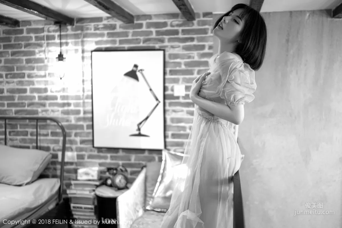 就是阿朱啊《黑白大片視覺》 [嗲囡囡FEILIN] VOL.134 寫真集 10