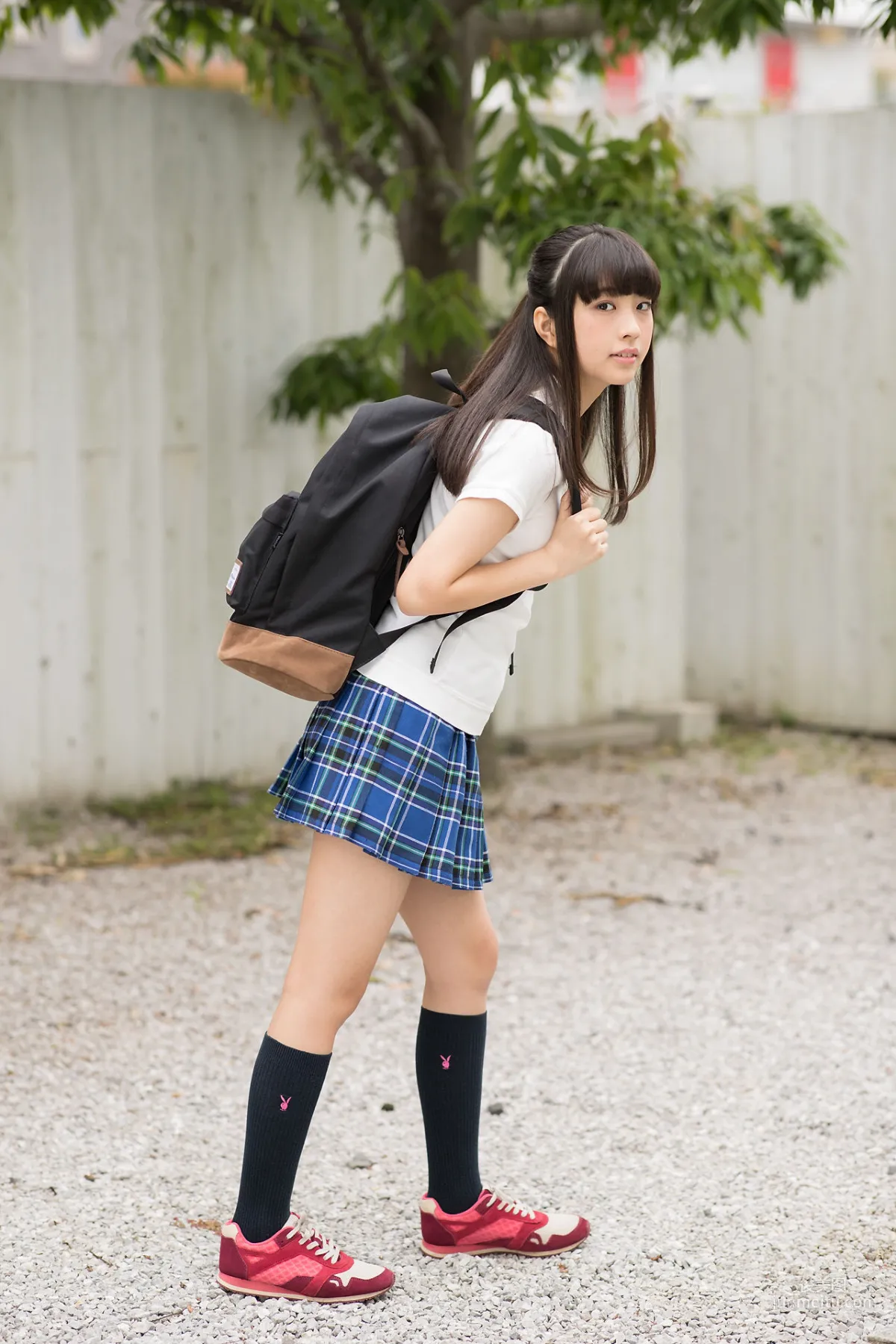 池田なぎさ - Regular Gallery 01+02 [Minisuka.tv] 写真集写真集6