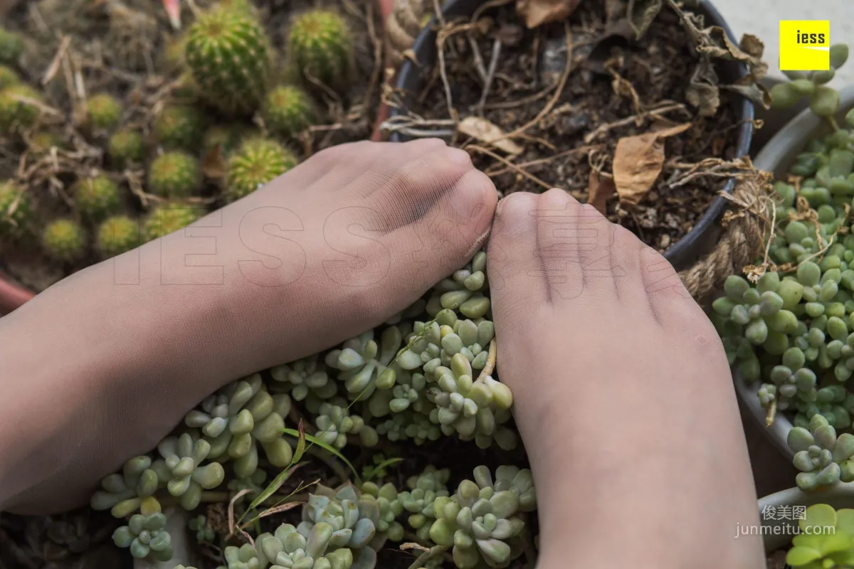 模特婉萍《婉萍的多肉花园》 [异思趣向IESS] 写真集94