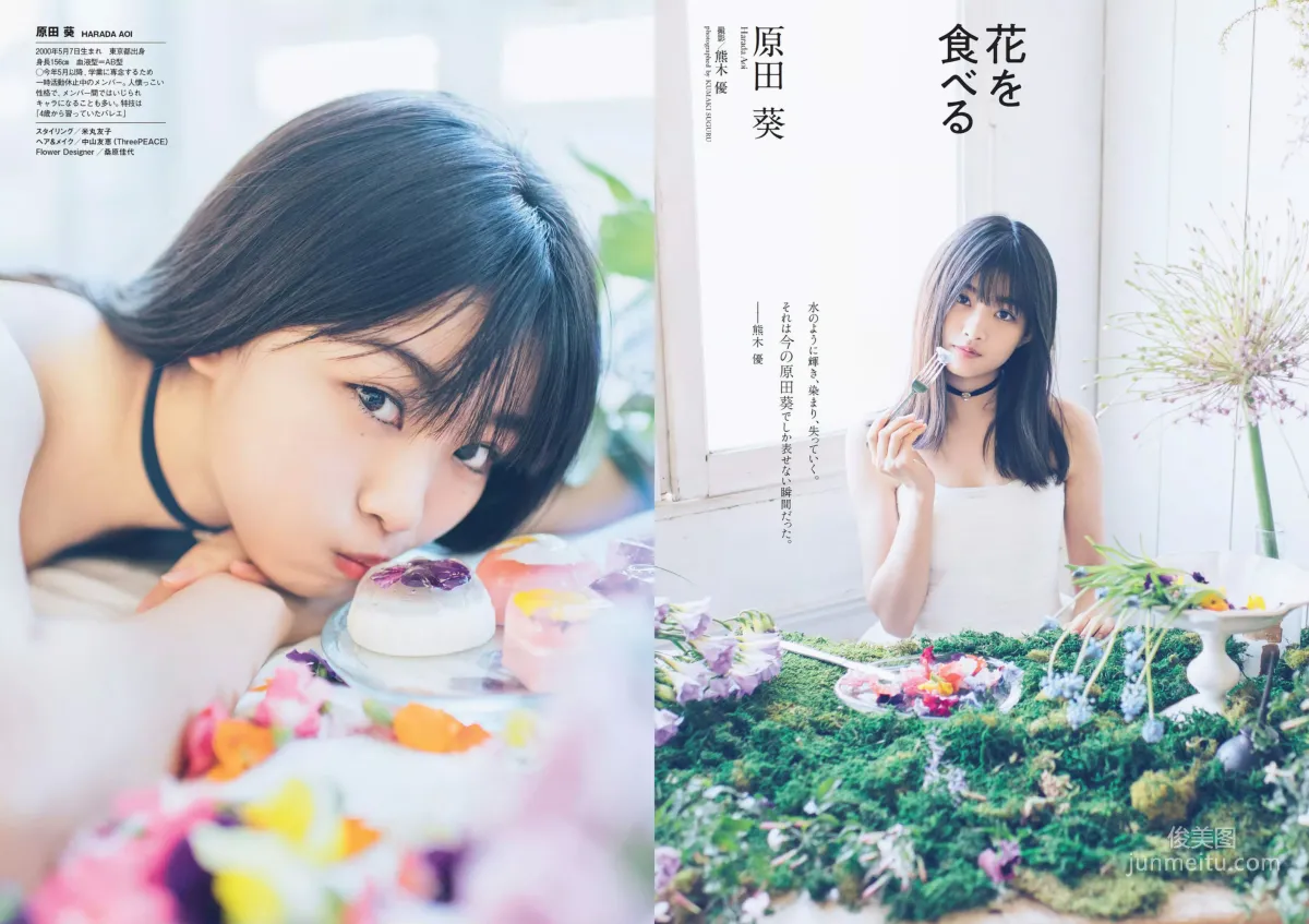 Keyakizaka46 欅坂46 [Weekly Playboy] 2018年No.49 寫真雜志 34