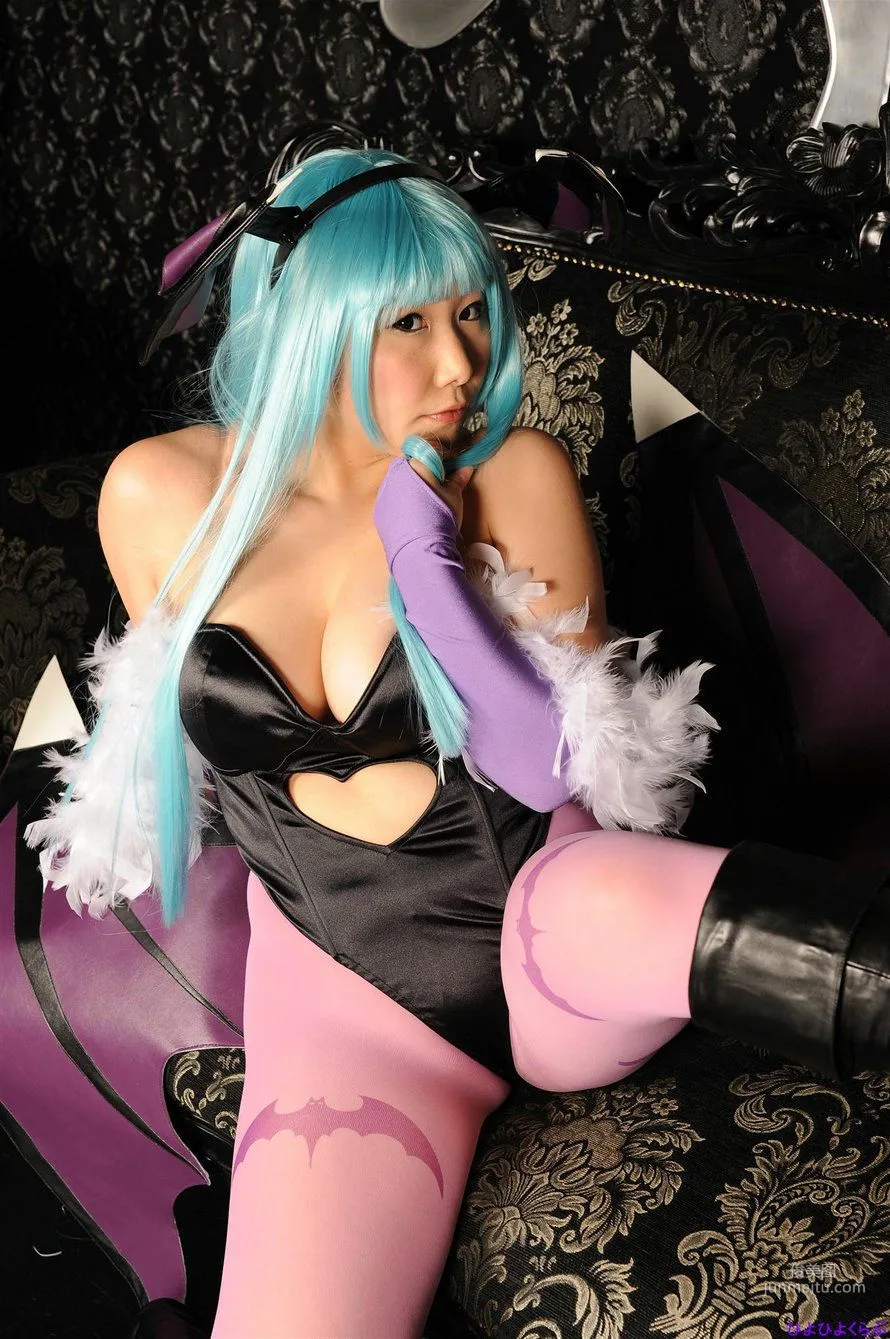 丹雫ひよ《Vampire》Morrigan Aensland [HiyoHiyo Club] 寫真集 54