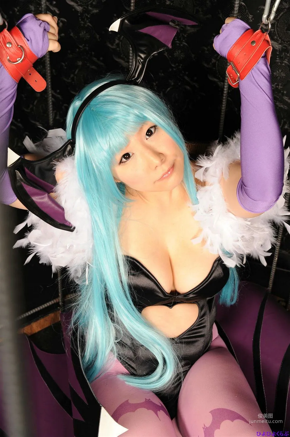 丹雫ひよ《Vampire》Morrigan Aensland [HiyoHiyo Club] 寫真集 74
