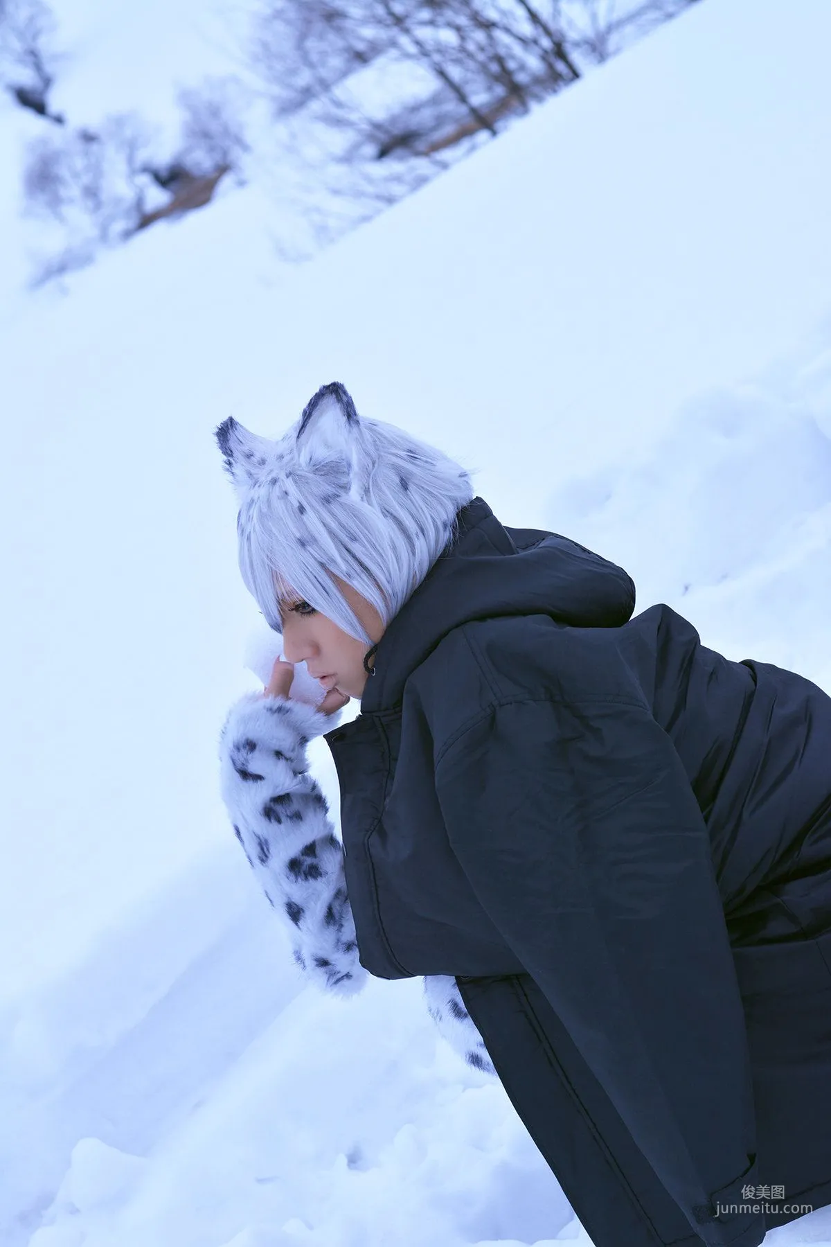 Non (Non SummerJack) Snow Leopard 写真集96