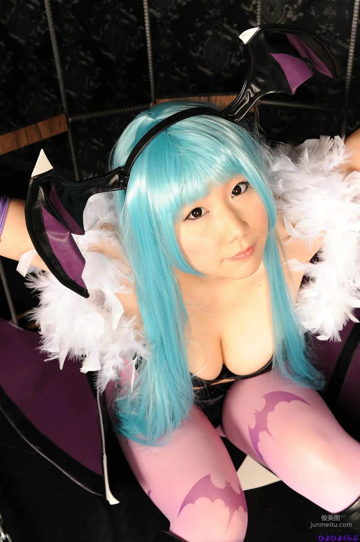 丹雫ひよ《Vampire》Morrigan Aensland [HiyoHiyo Club] 寫真集 80