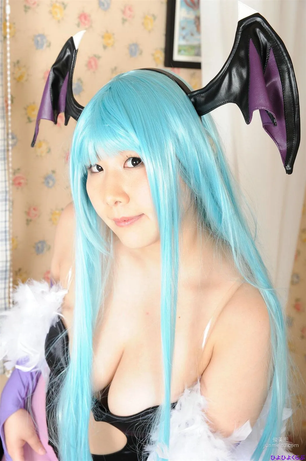 丹雫ひよ《Vampire》Morrigan Aensland [HiyoHiyo Club] 寫真集 43