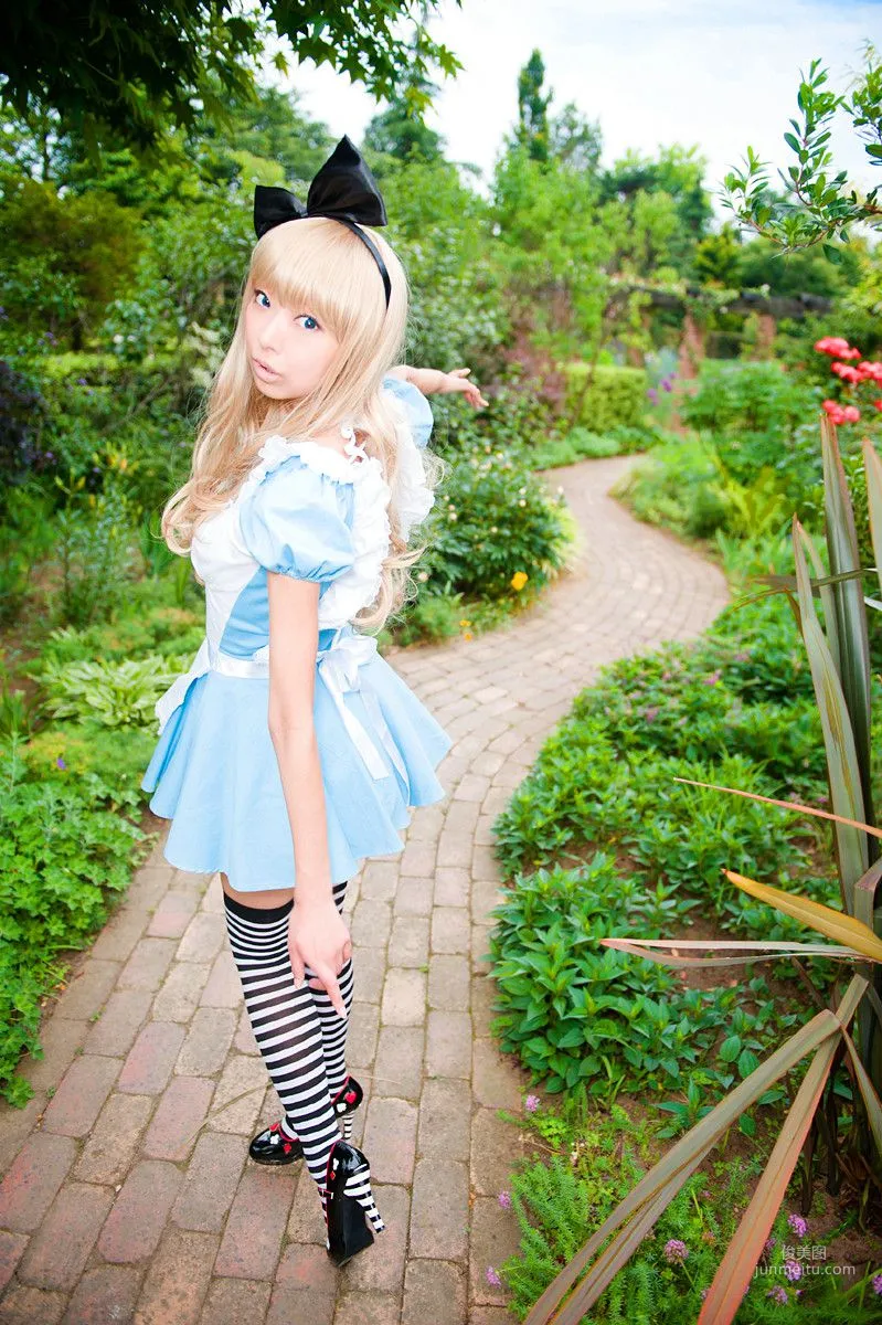 Necoco(ねここ) 《爱丽丝梦游仙境》5Set 写真集26