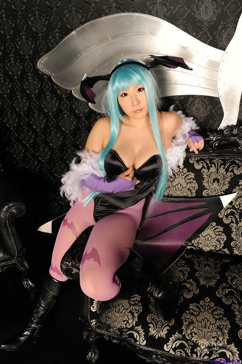 丹雫ひよ《Vampire》Morrigan Aensland [HiyoHiyo Club] 寫真集 62