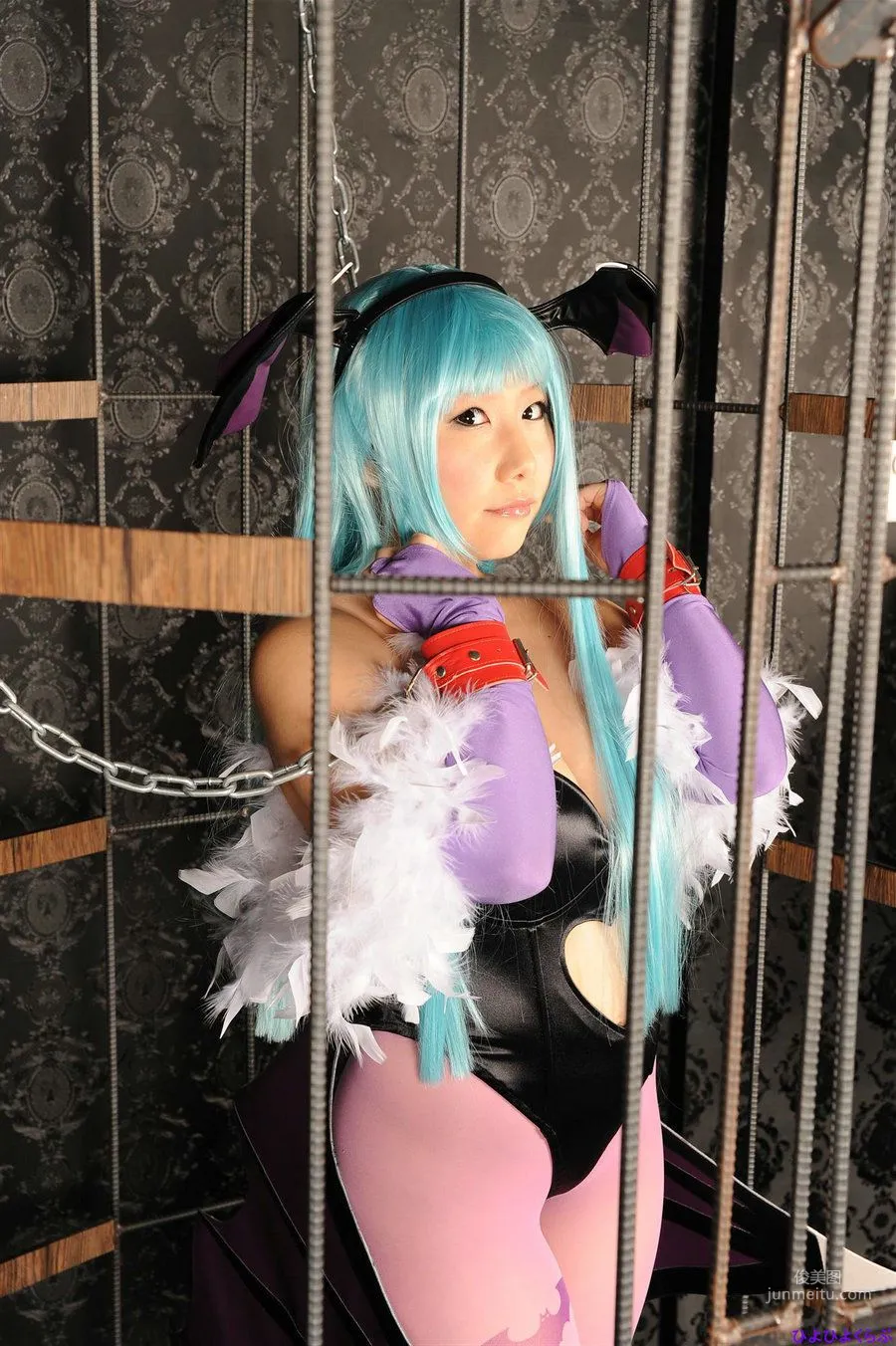 丹雫ひよ《Vampire》Morrigan Aensland [HiyoHiyo Club] 寫真集 63