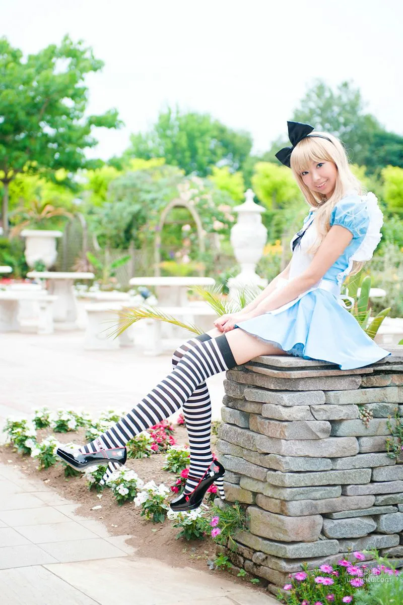 Necoco(ねここ) 《爱丽丝梦游仙境》5Set 写真集21