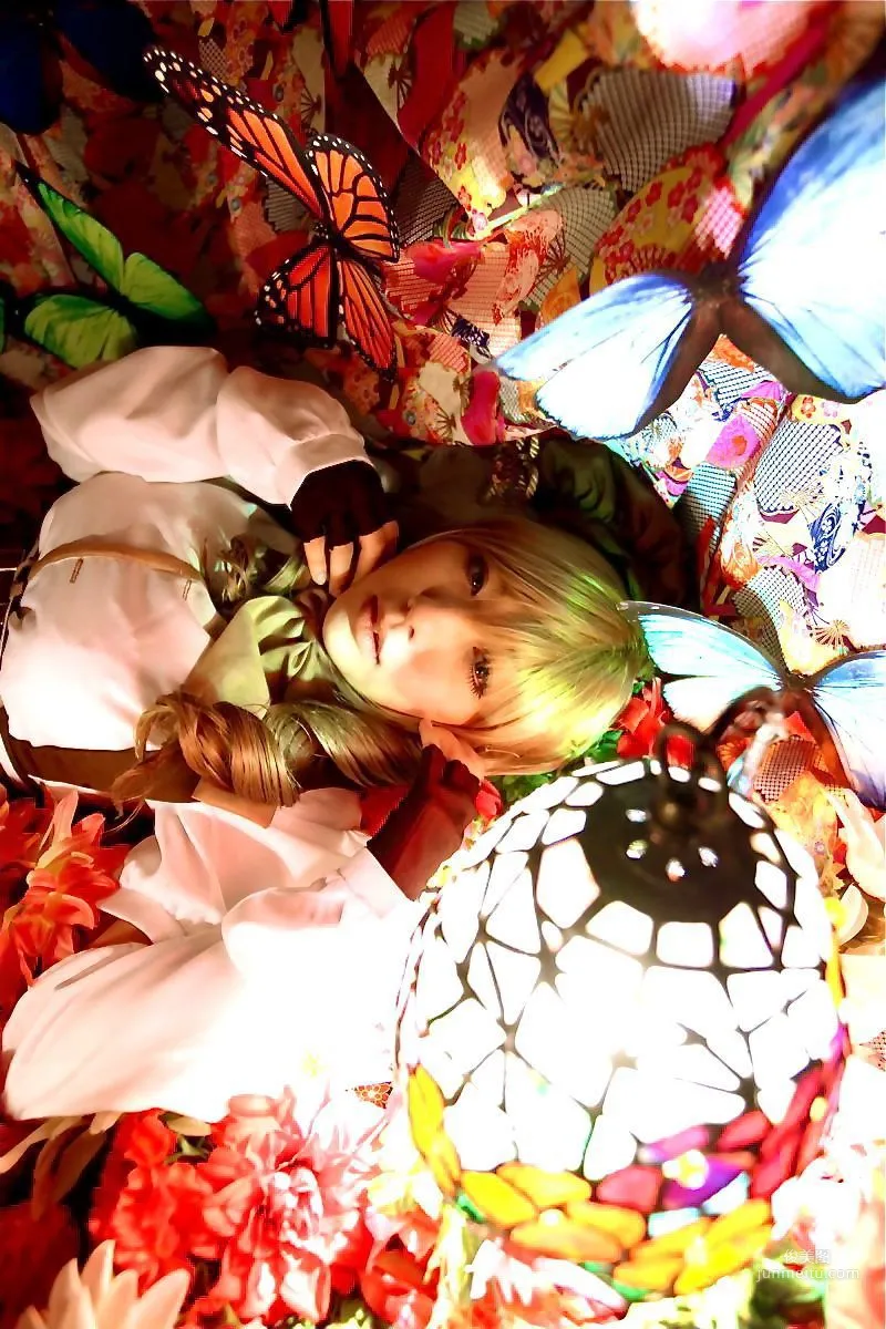 華群みさき《魔法少女まどか☆マギカ》Tomoe Mami(巴マミ) [HONEY BUNNY] 寫真集 97