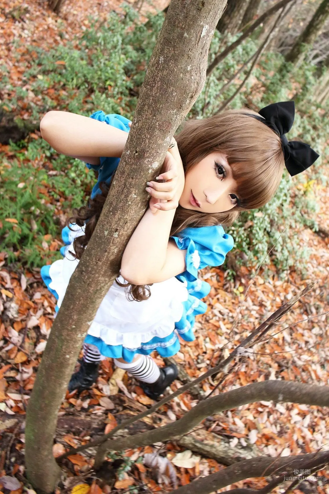 日暮らん 《Alice's Adventures in Wonderland》 Lite.Ver. [HBS] 寫真集 42