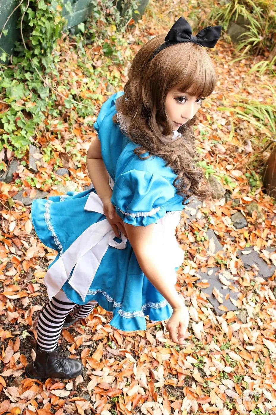 日暮らん 《Alice's Adventures in Wonderland》 Lite.Ver. [HBS] 寫真集 35