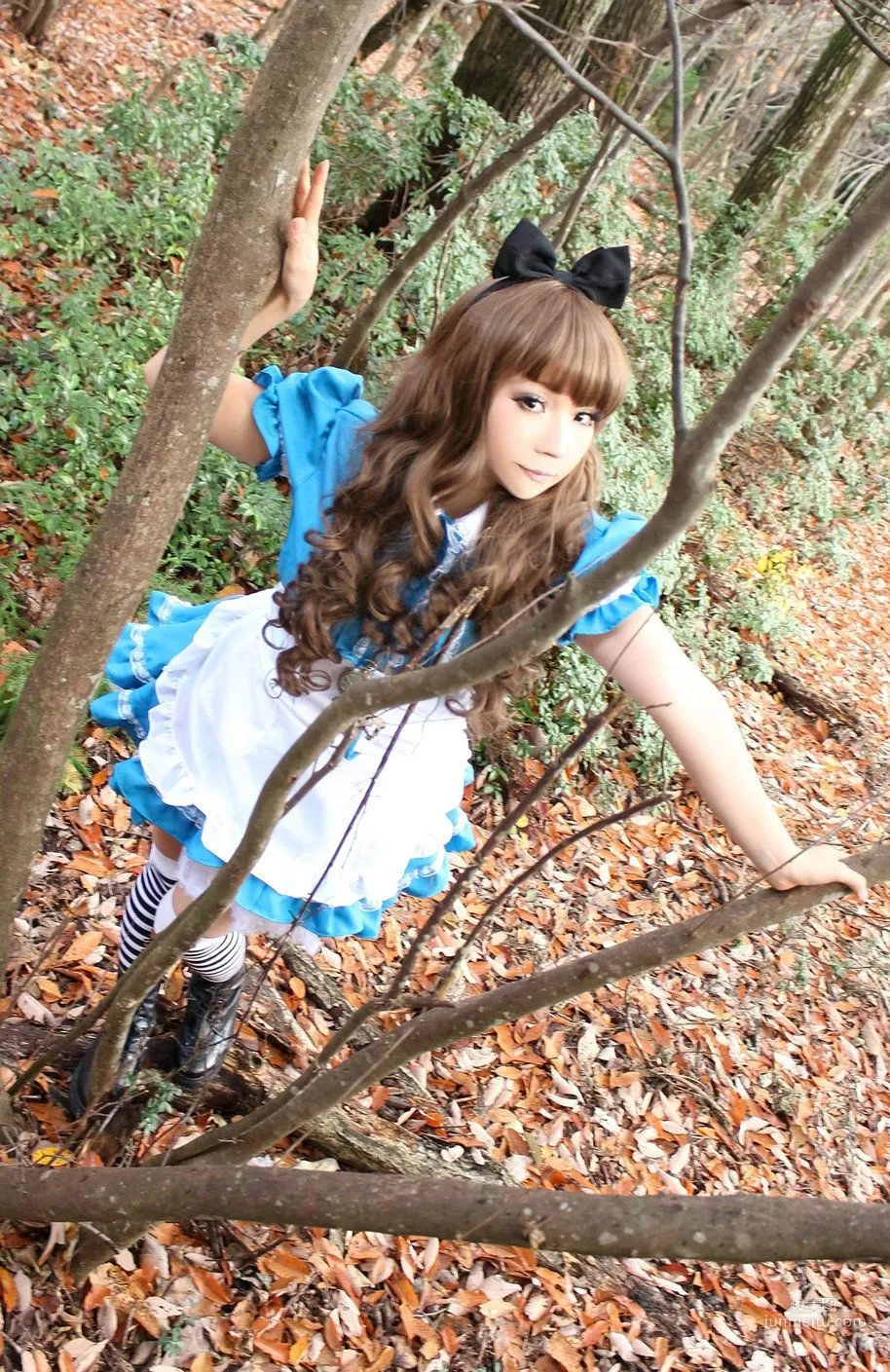 日暮らん 《Alice's Adventures in Wonderland》 Lite.Ver. [HBS] 寫真集 41