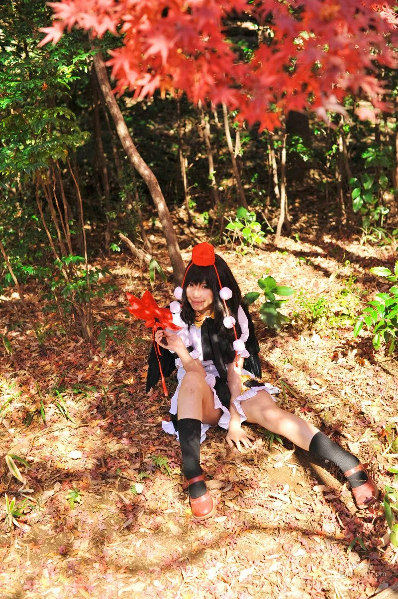 天使みゅ 《東方Project》 射命丸文 [Sugar Myuku] 寫真集 3
