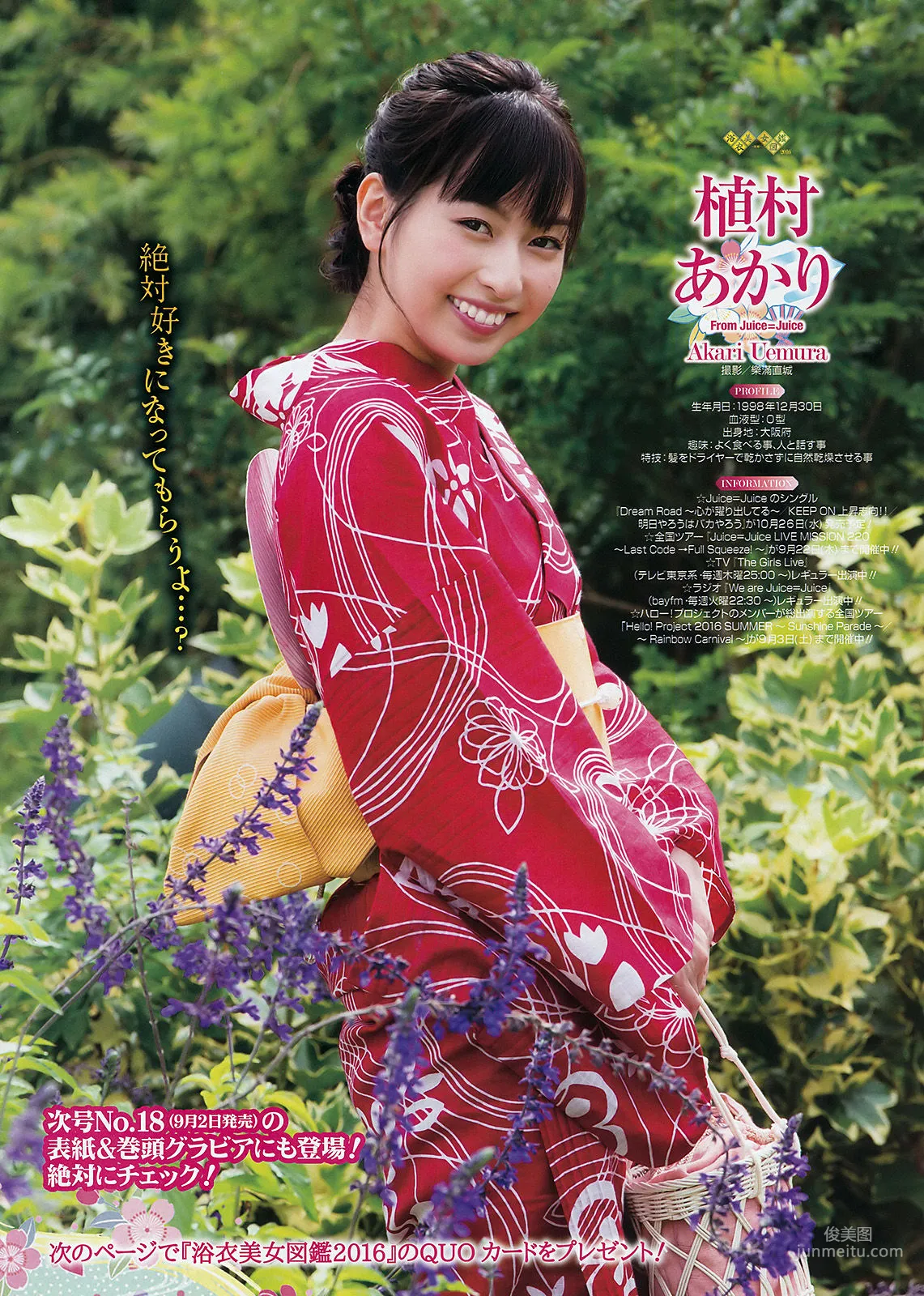 [Young Gangan] 禦伽ねこむ 2016年No.17 寫真雜志 20