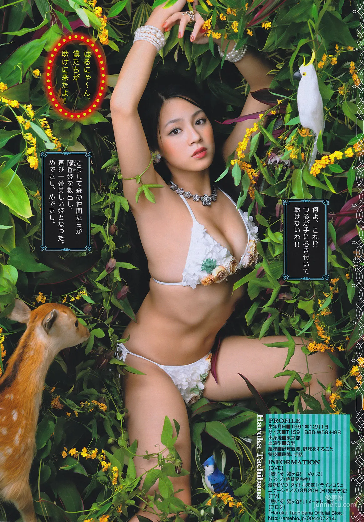 [Young Magazine] 桜庭ななみ 2011年No.08 寫真雜志 15