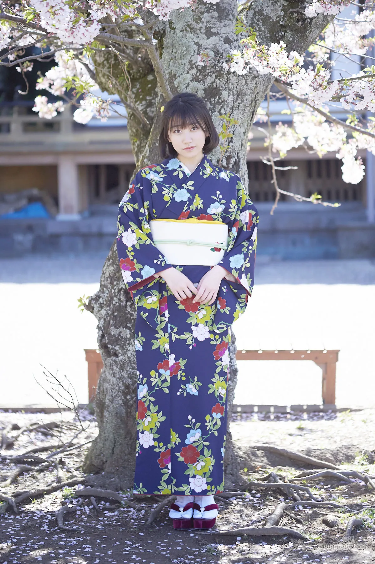 和田桜子 Sakurako Wada  [Hello! Project Digital Books] No.189 写真集23