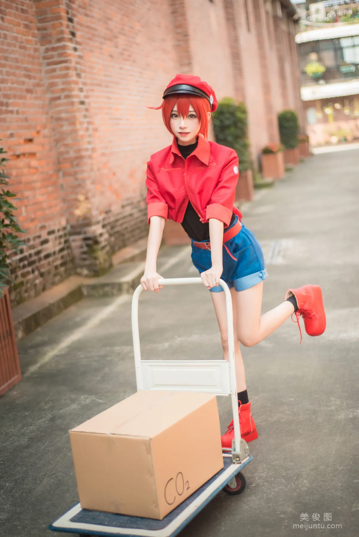 Kitaro_绮太郎 《工作细胞》 写真集17
