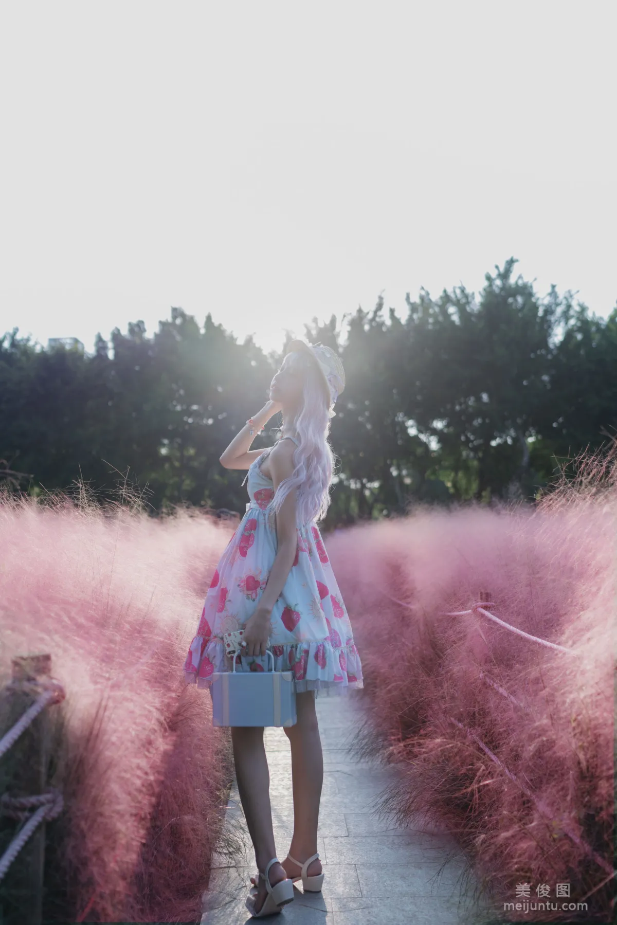 网红美女西瓜 《粉草》 写真集13