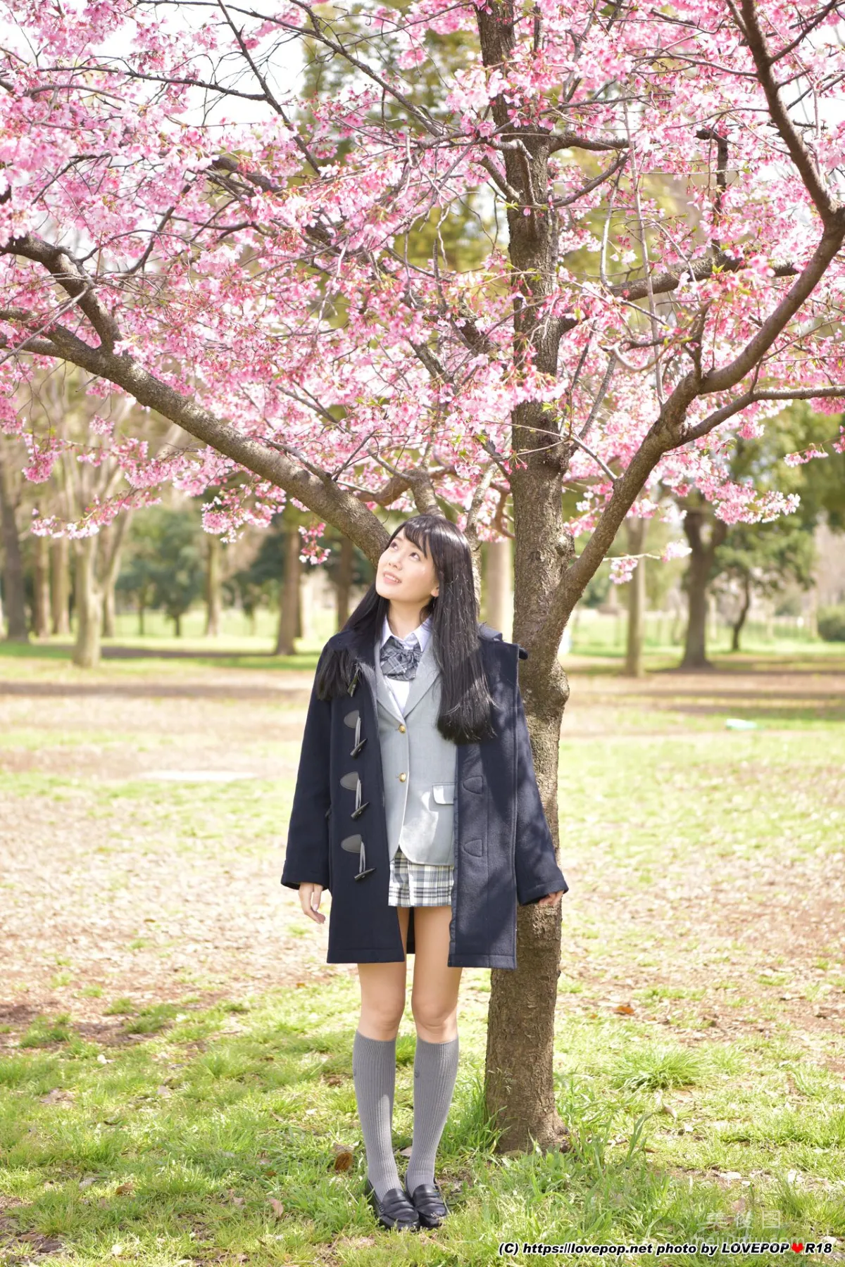 [LOVEPOP] 柳井める Meru Yanai Photoset 07 寫真集 43